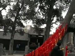 -关林