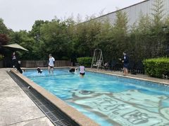 -汪说喵讲宠物乐园宠物酒店(红星美凯龙店)