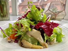 -蝶舍·MAISON PAPILLON