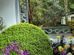 -杭州植物园