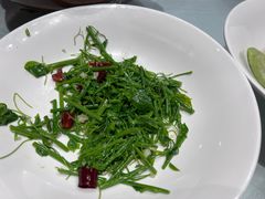 -沪碟·精菜坊(闵行店)