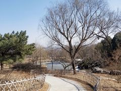 -北京西山国家森林公园