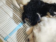 -丽达购物中心(崂山店)
