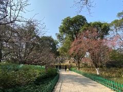 -乌山风景区