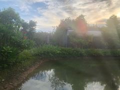 -花溪雨·森林餐厅(石基店)