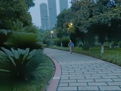-龙头寺公园