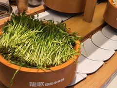 -龍歌自助小火锅(崂山丽达店)