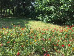 -永定河休闲森林公园