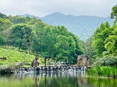 -广州市石门国家森林公园