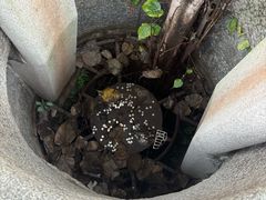 -福州开元寺
