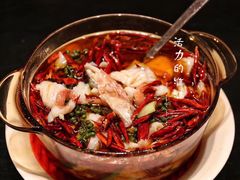 东星斑-明州小宴(文化广场店)
