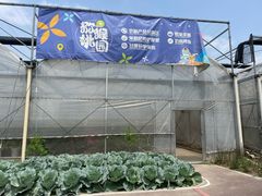 -菊园百果园
