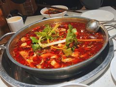-蛙蛙鸡冷锅鱼(驷马桥店)
