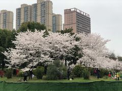 -堤角公园