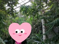 -呀路古热带植物园
