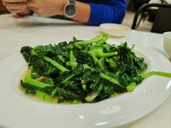 芥兰-日日香卤鹅饭店·澄海狮头鹅(澄海店)