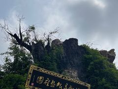 -大槐树寻根祭祖园