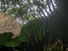 -泉眼温泉