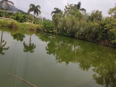 -莲湖山庄