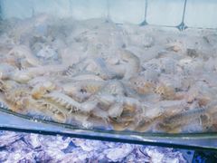 -日照大牌檔•小船海鲜(万平口店)
