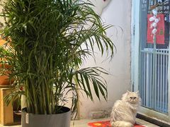 -小时光咖啡馆(北锣鼓巷店)