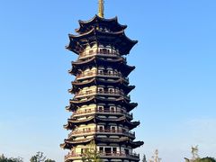 -洋湖国家湿地公园
