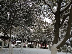 -荆川公园