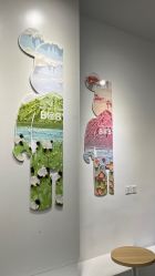 -星宝贝儿童摄影