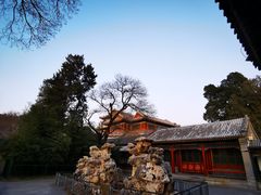 -颐和园