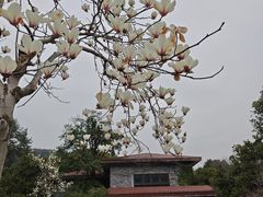 -中国茶叶博物馆(双峰馆区)