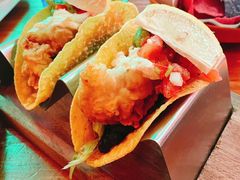 -Famous肥猫墨西哥音乐餐吧(五棵松华熙LIVE店)