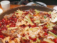 -老板恋上鱼(高新万达店)