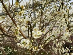 -鹫峰国家森林公园