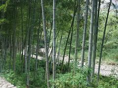 -楠溪江风景名胜区