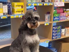 -瑞派康怡24h宠物医院·犬猫医疗中心·微创绝育(瑞景分院)