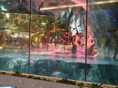 -帝企鹅自助餐厅•儿童岛•真企鹅(长隆企鹅酒店)