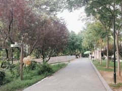 -合肥野生动物园