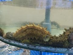 -抹直口特色菜馆(一店)