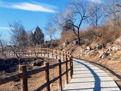 -白水寺森林公园