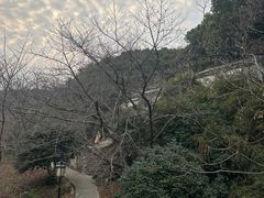-苏州上方山国家森林公园