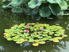 -国家植物园南园