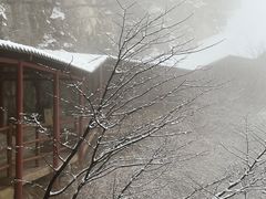 -佛慧山