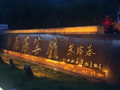 -保利·新九寨宾馆