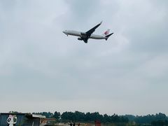 -空港花田景区