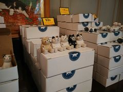 -猫咪博物馆(顶澳仔猫街店)