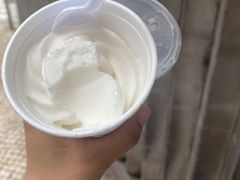 -洪馨椰子