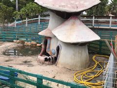 -灵玲国际马戏城