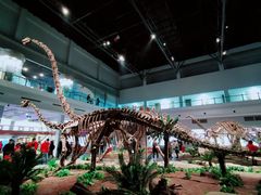 -自贡恐龙博物馆