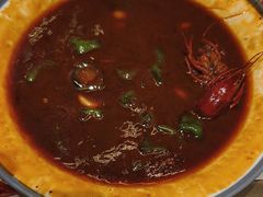 -杨氏青龙虾·羊蝎子(托乐嘉店)