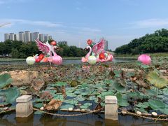 -映月湖公园